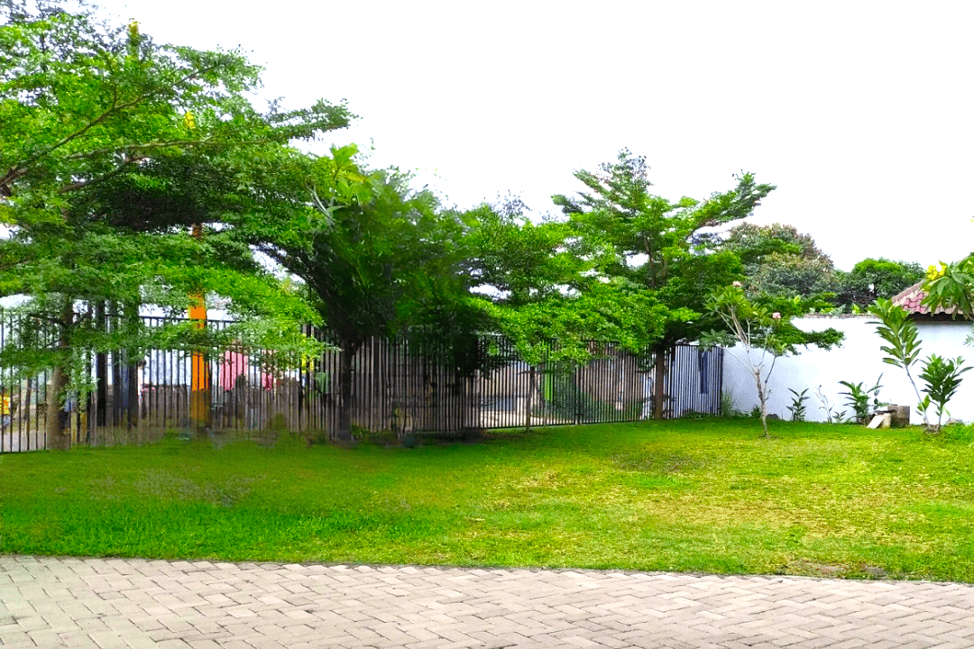Taman